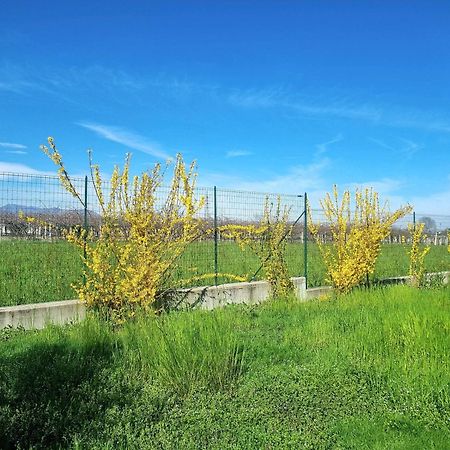 Cascina La Demilana Acomodação com café da manhã Bibiana Exterior foto