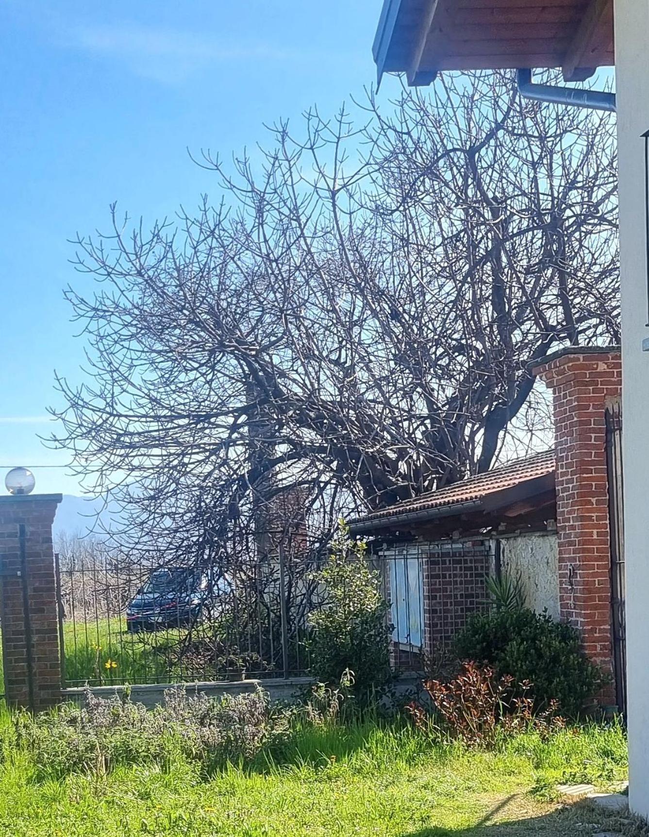 Cascina La Demilana Acomodação com café da manhã Bibiana Exterior foto