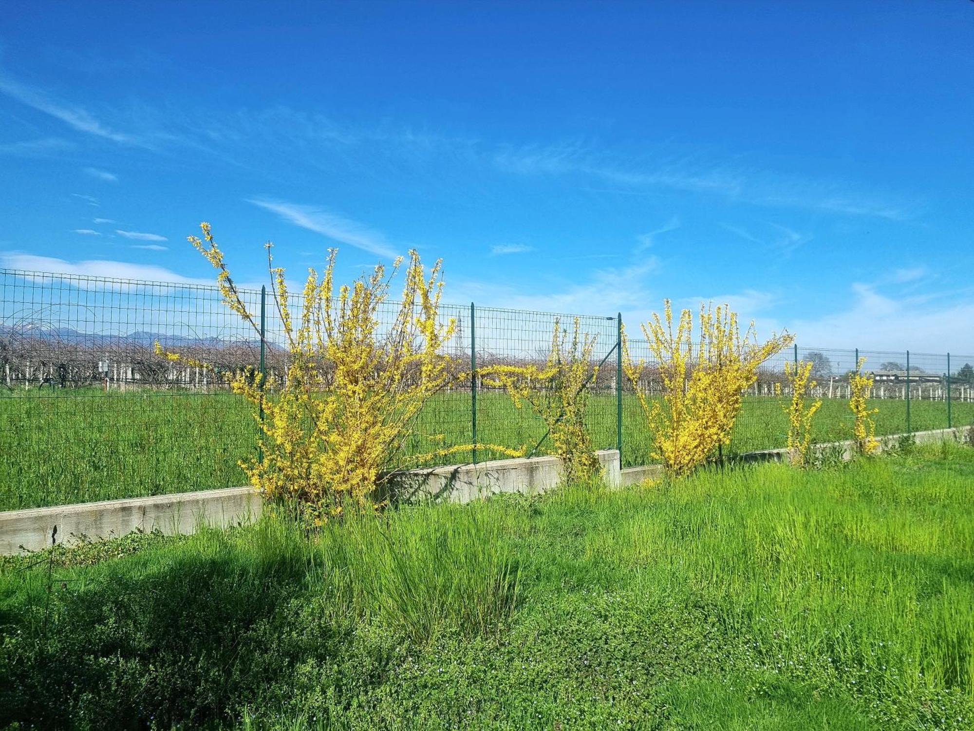 Cascina La Demilana Acomodação com café da manhã Bibiana Exterior foto