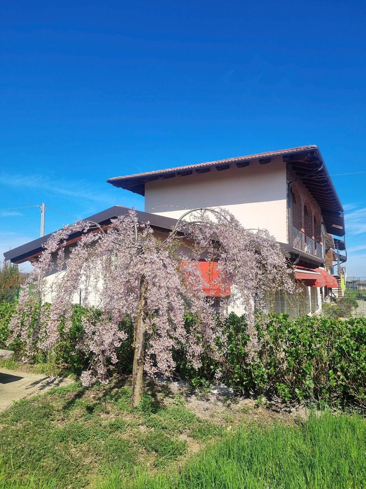 Cascina La Demilana Acomodação com café da manhã Bibiana Exterior foto