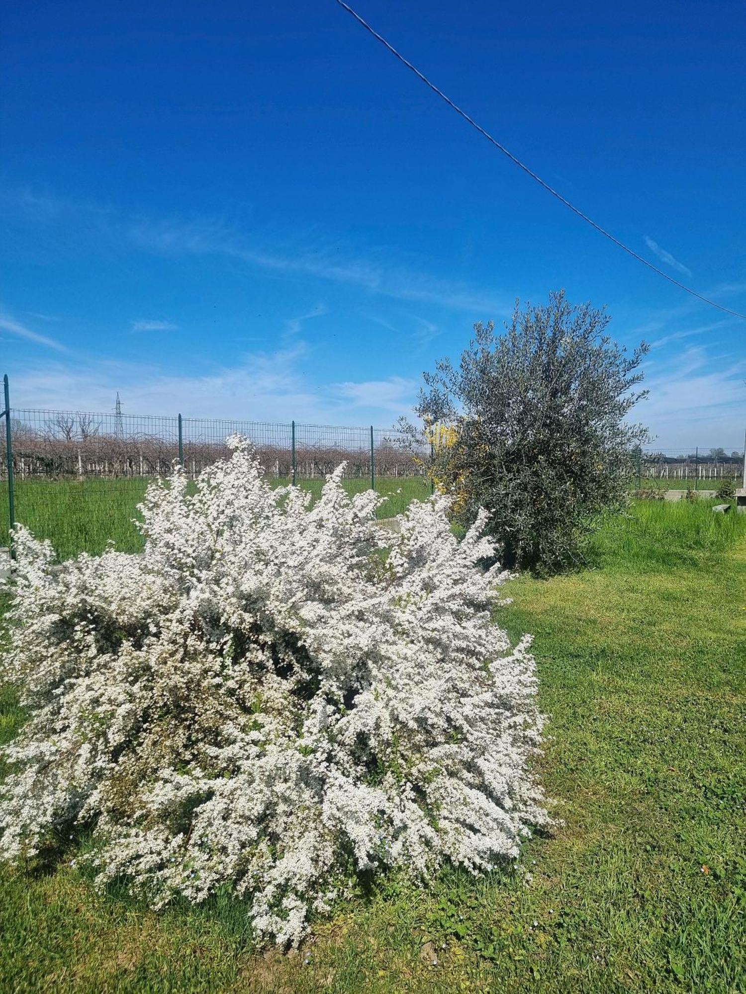 Cascina La Demilana Acomodação com café da manhã Bibiana Exterior foto